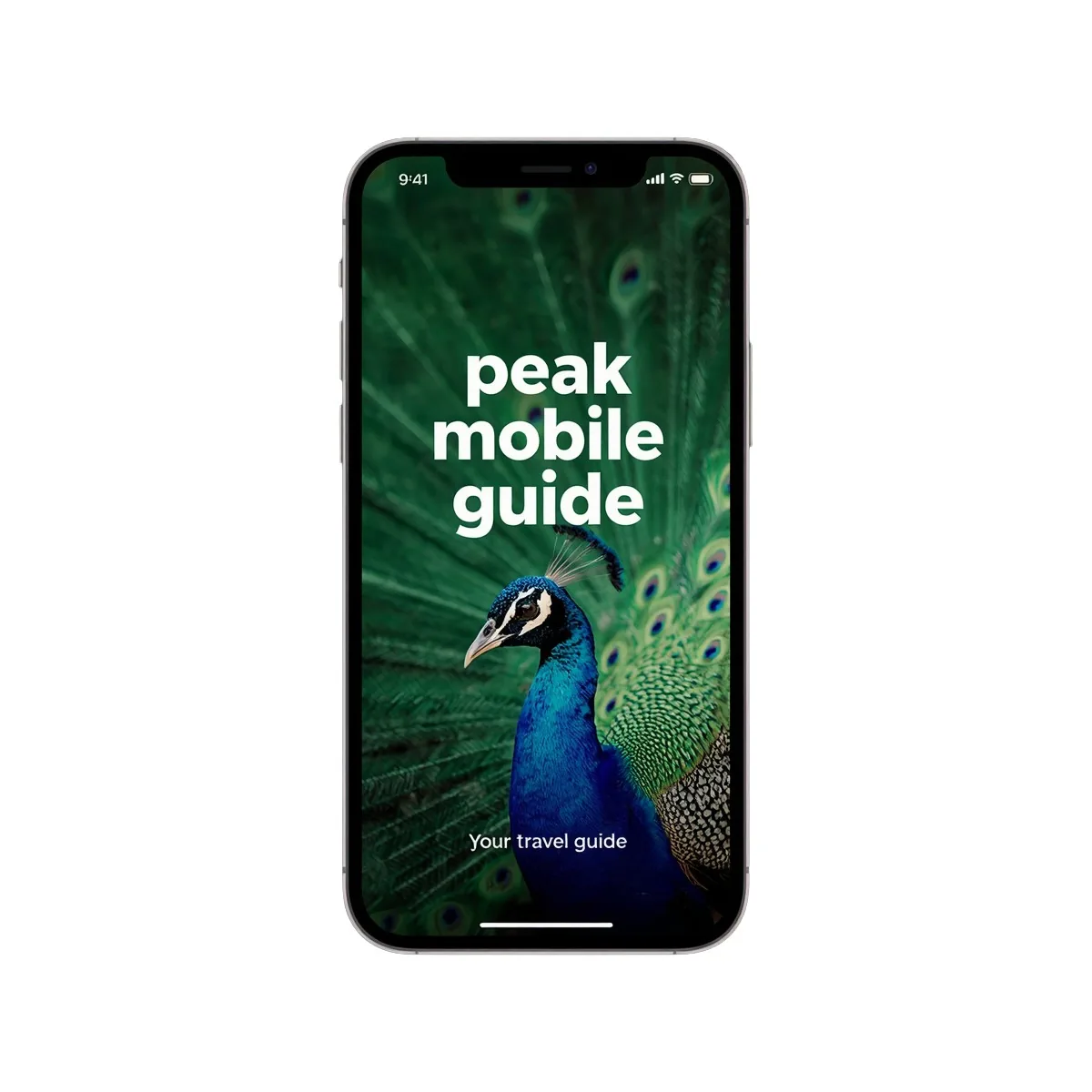 Peak Mobile Guide App